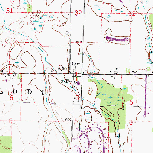 Topographic Map of Salem School, MI