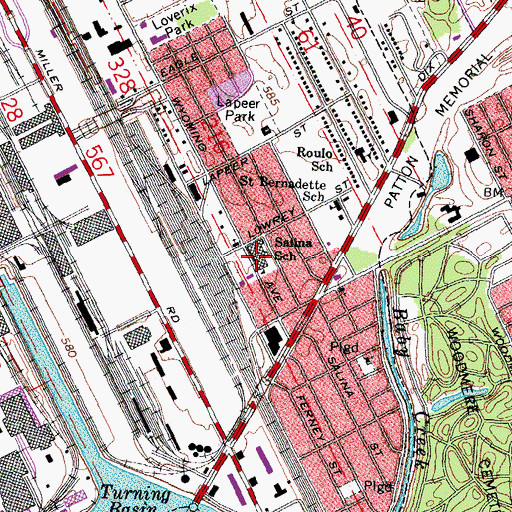 Topographic Map of Salina School, MI
