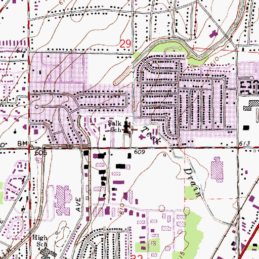 Topographic Map of Salk School, MI