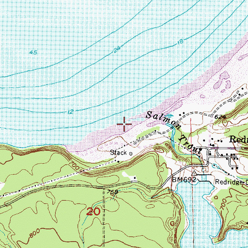 Topographic Map of Salmon Trout River, MI