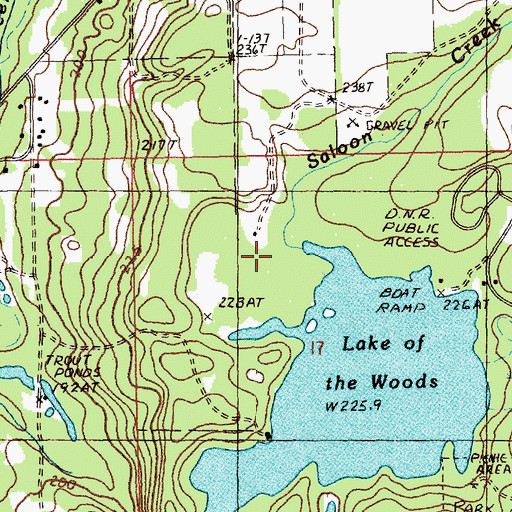 Topographic Map of Saloon Creek, MI