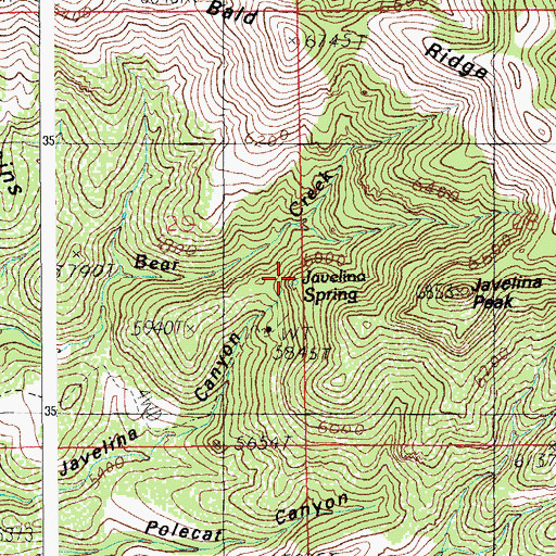 Topographic Map of Javelina Spring, AZ