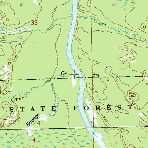Topographic Map of Savage Creek, MI