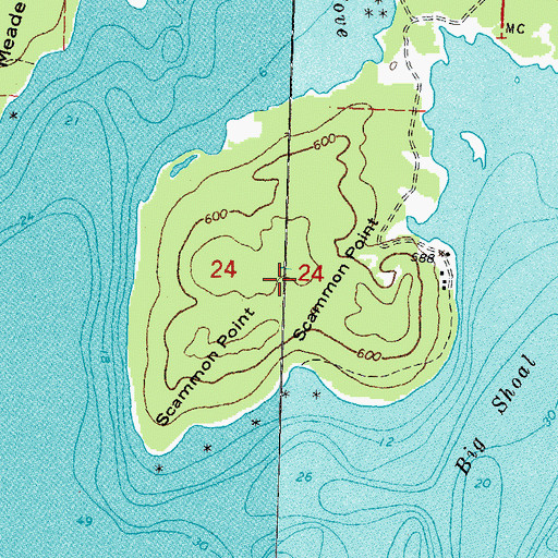 Topographic Map of Scammon Point, MI