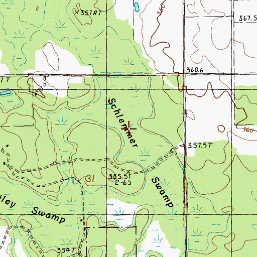 Topographic Map of Schlemmer Swamp, MI