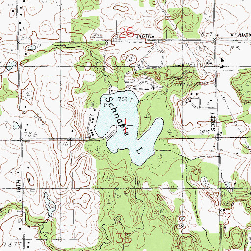 Topographic Map of Schnable Lake, MI