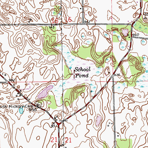 Topographic Map of School Pond, MI