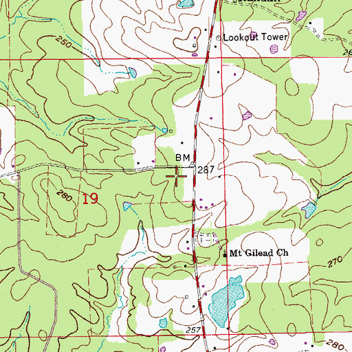 Topographic Map of Township of Whiteville, AR