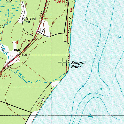 Topographic Map of Seagull Point, MI
