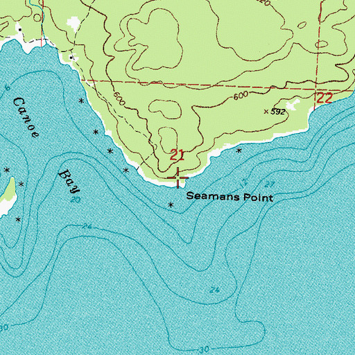 Topographic Map of Seamans Point, MI