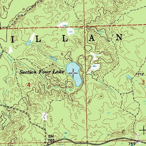 Topographic Map of Section Four Lake, MI