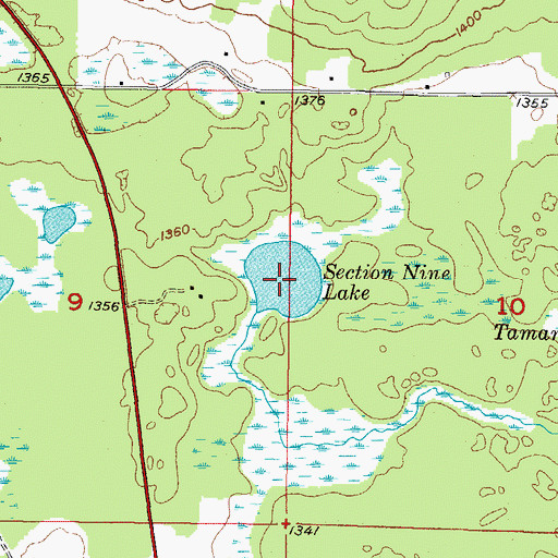 Topographic Map of Section Nine Lake, MI