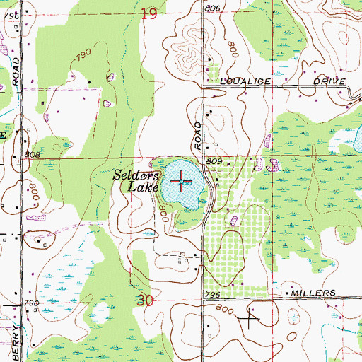 Topographic Map of Selders Lake, MI