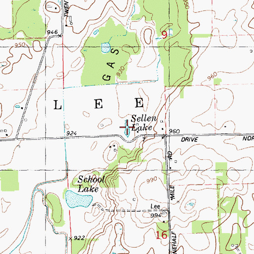 Topographic Map of Sellen Lake, MI