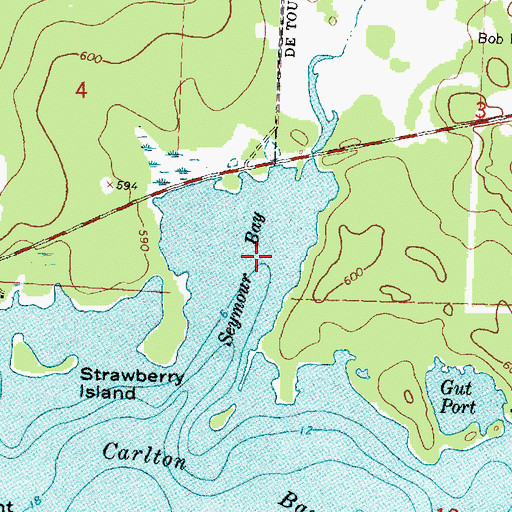 Topographic Map of Seymour Bay, MI