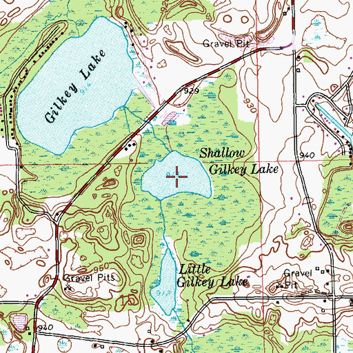Topographic Map of Shallow Gilkey Lake, MI