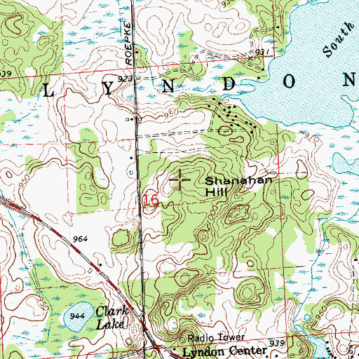 Topographic Map of Shanahan Hill, MI
