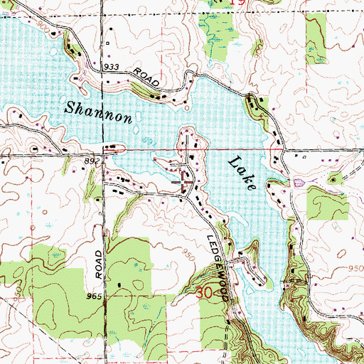 Topographic Map of Shannon Lake, MI