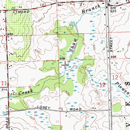 Topographic Map of Shaw Branch, MI