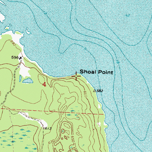 Topographic Map of Shoal Point, MI