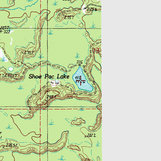 Topographic Map of Shoe Pac Lake, MI