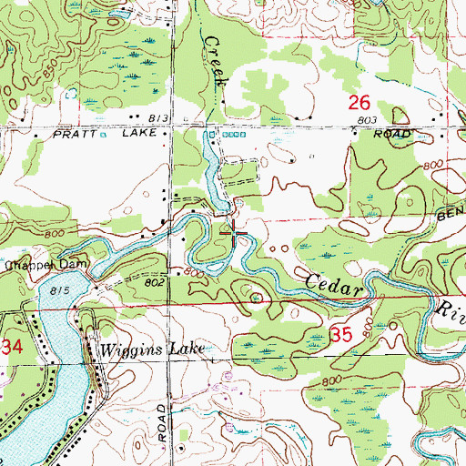Topographic Map of Silver Creek, MI