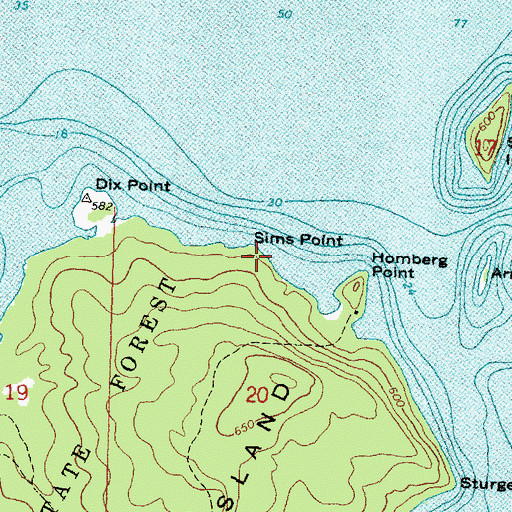 Topographic Map of Sims Point, MI