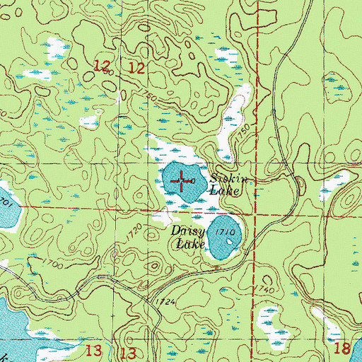 Topographic Map of Siskin Lake, MI