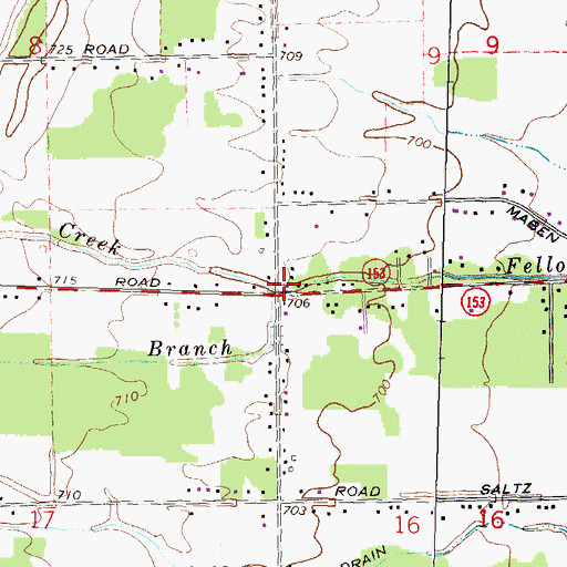 Topographic Map of South Branch Fellows Creek, MI