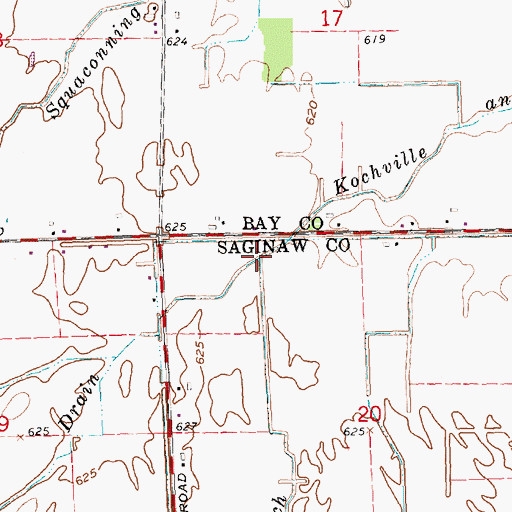 Topographic Map of South Branch Kochville and Frankenlust Drain, MI