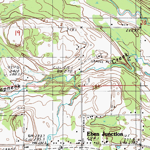 Topographic Map of South Branch Slapneck Creek, MI