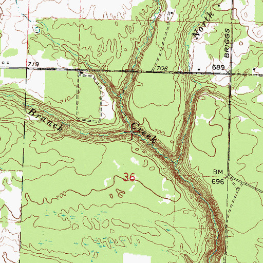 Topographic Map of South Branch Townline Creek, MI