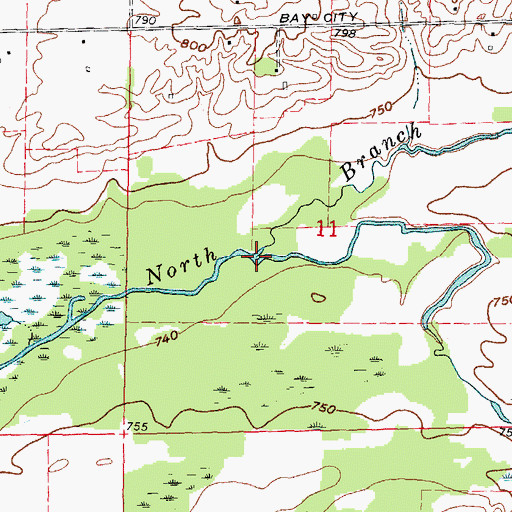 Topographic Map of South Fork Cass River, MI