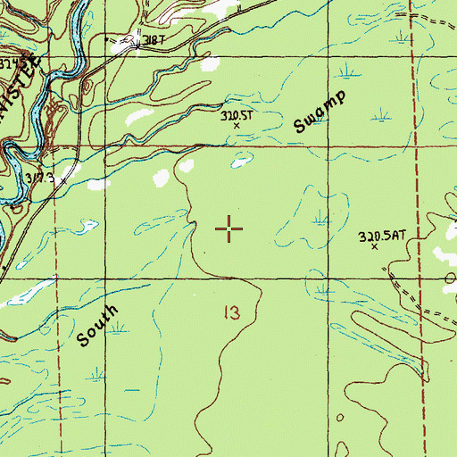 Topographic Map of South Swamp, MI