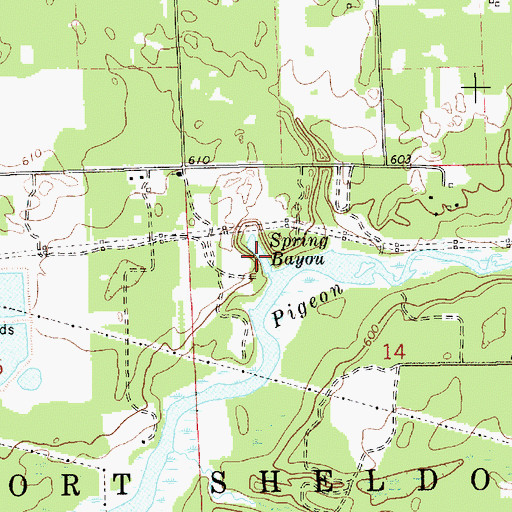 Topographic Map of Spring Bayou, MI