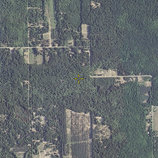 Aerial/Satellite Image of Spring Brook, MI