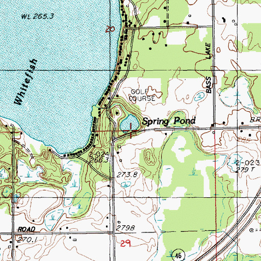 Topographic Map of Spring Pond, MI