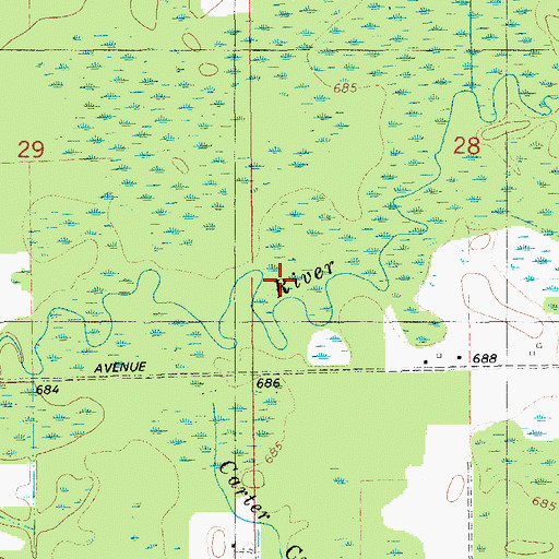 Topographic Map of Spring Run, MI