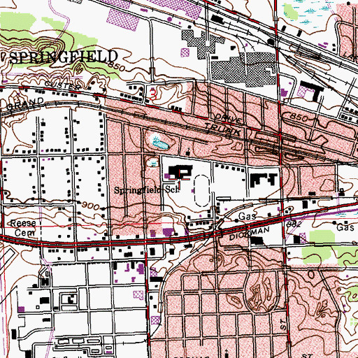 Topographic Map of Springfield School, MI