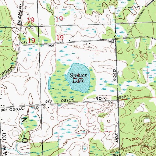 Topographic Map of Spruce Lake, MI