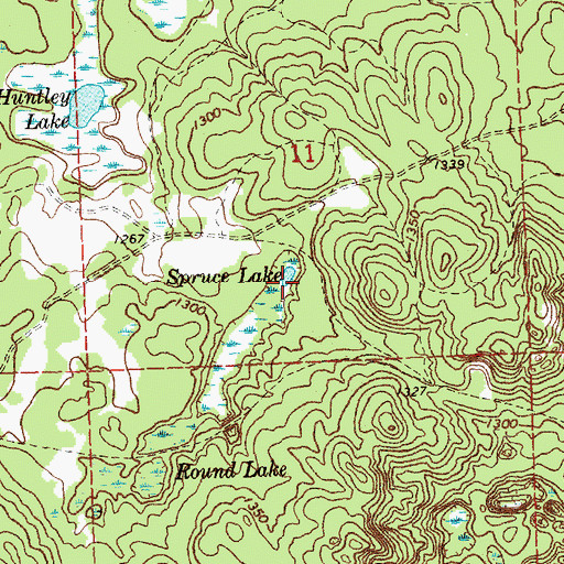 Topographic Map of Spruce Lake, MI