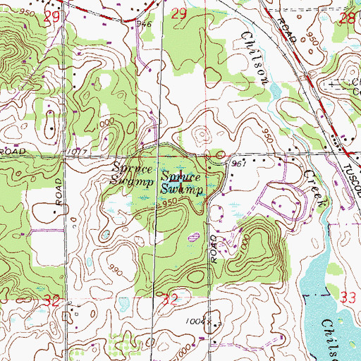 Topographic Map of Spruce Swamp, MI