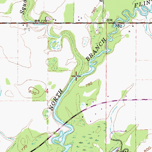 Topographic Map of Squaw Creek, MI
