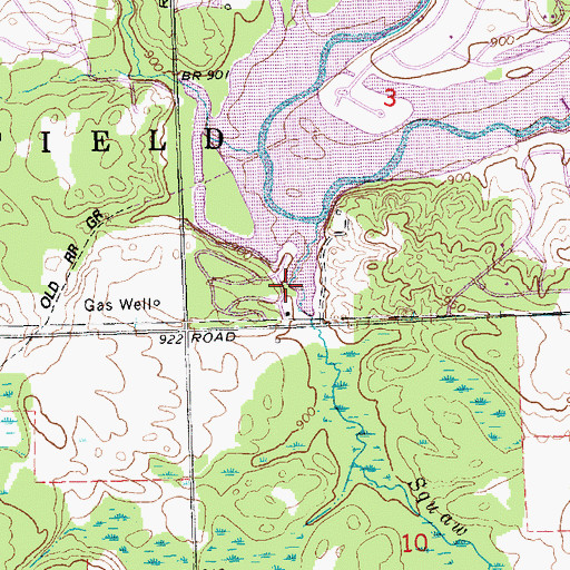 Topographic Map of Squaw Creek, MI