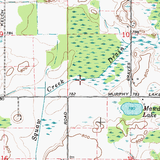 Topographic Map of Squaw Creek Drain, MI