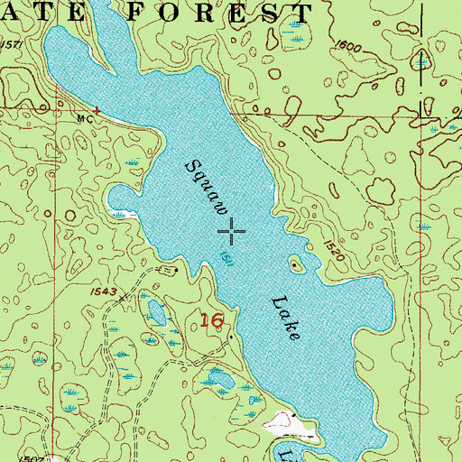 Topographic Map of Squaw Lake, MI