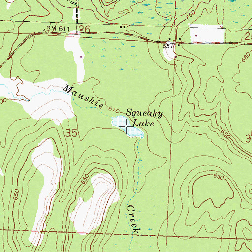 Topographic Map of Squeaky Lake, MI