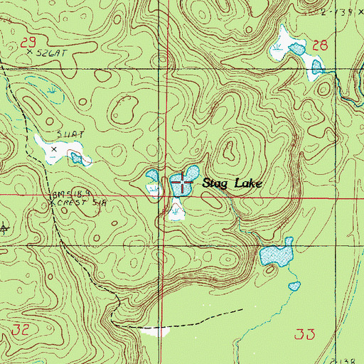 Topographic Map of Stag Lake, MI