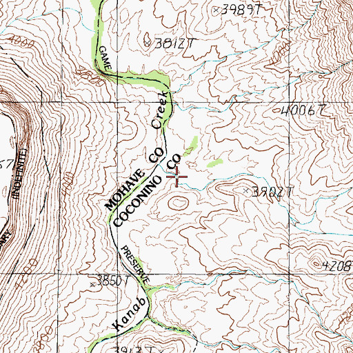 Topographic Map of Jensen Canyon, AZ