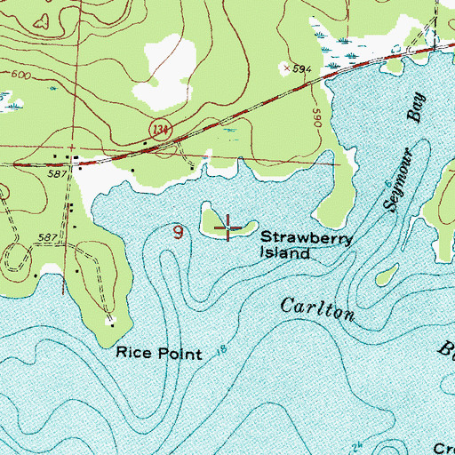 Topographic Map of Strawberry Island, MI